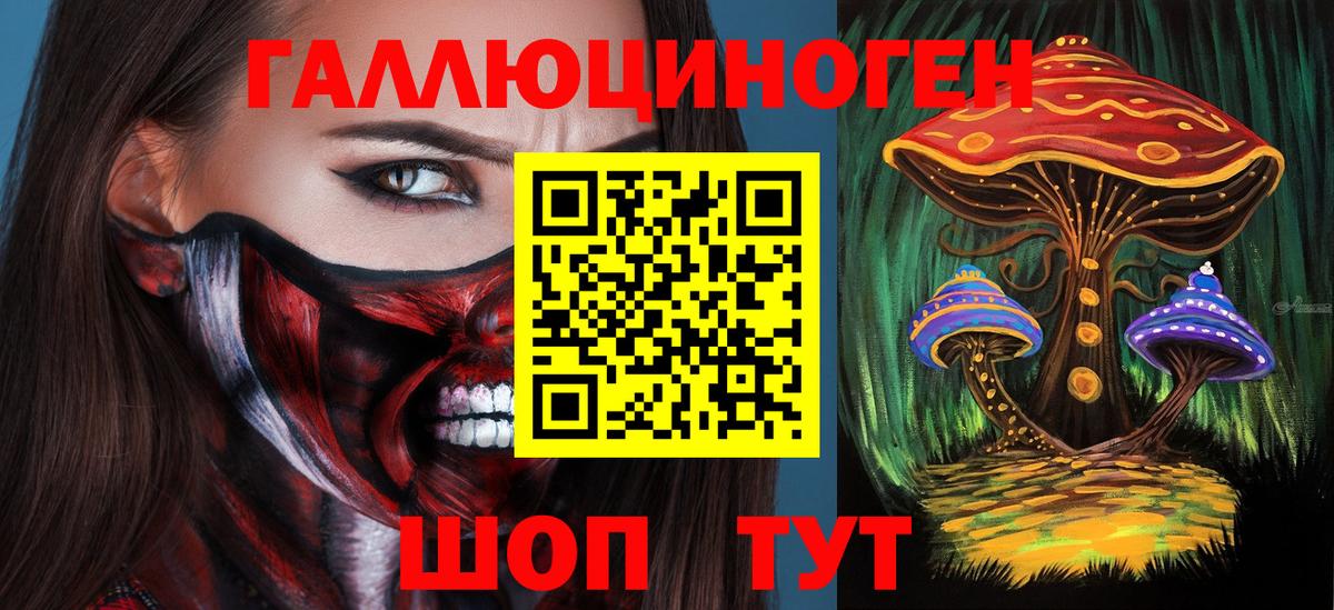 Псилоцибиновые грибы прущие грибы  Вход с VPN  Грозный  Псилоцибиновые грибы прущие грибы 